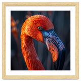 Close Up Flamingo Head Vibrant Orange Plumage thumbnail