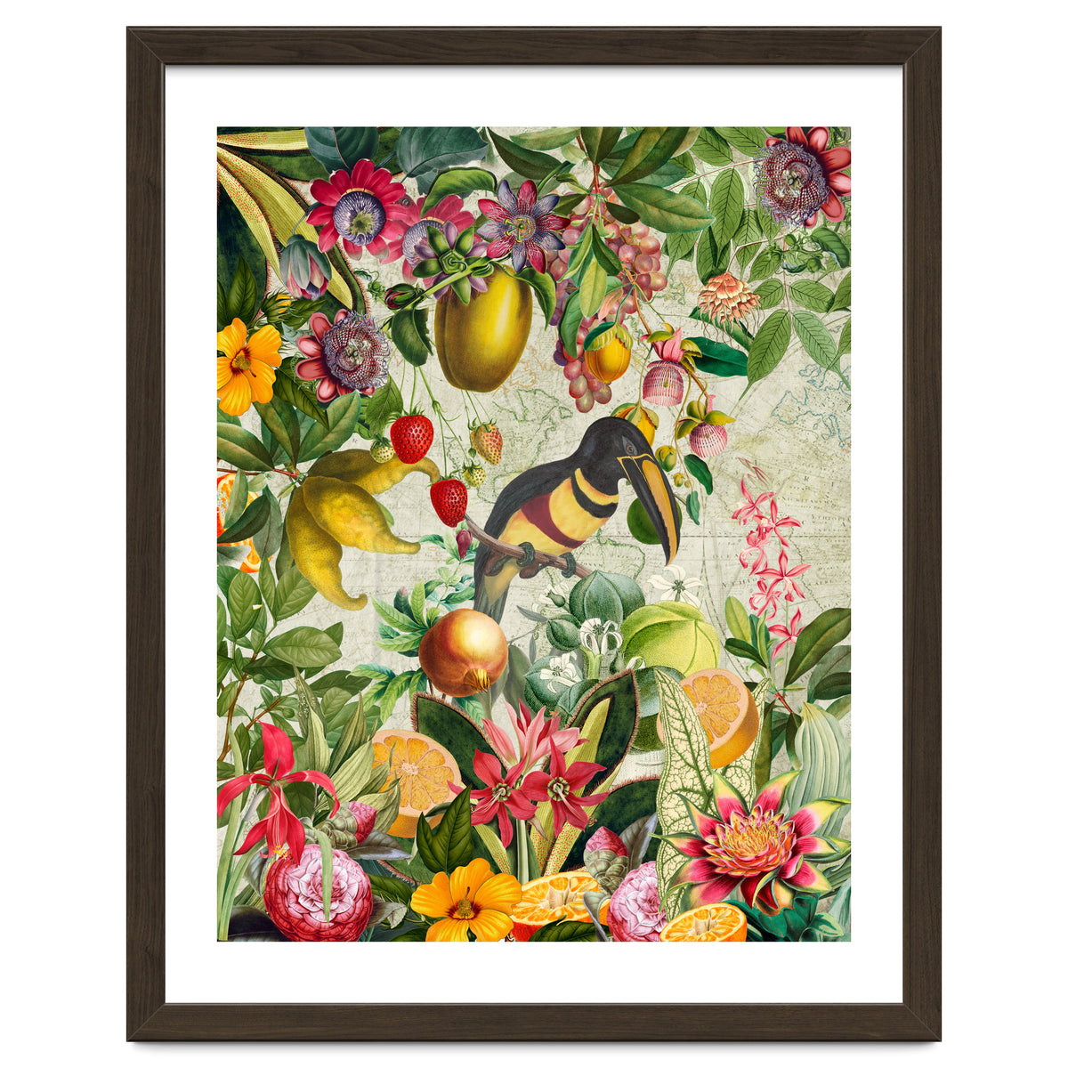 Toucan vintage jungle