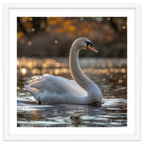 Graceful Swan Gliding On Reflective Water Surface thumbnail