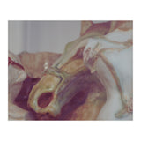 Ceramics II (Print Only) thumbnail