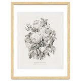 Currier & Ives – Rose of May (1870) thumbnail