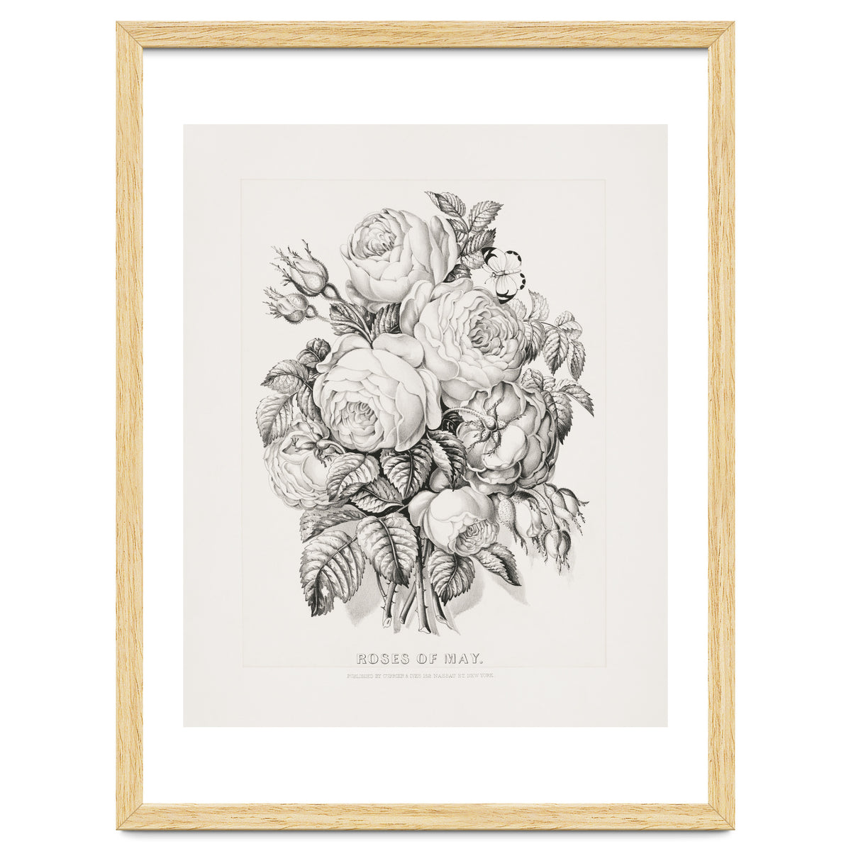 Currier & Ives – Rose of May (1870)