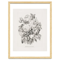 Currier & Ives – Rose of May (1870)