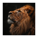 Majestic Lion Portrait Profile Majestic Beast (Print Only) thumbnail