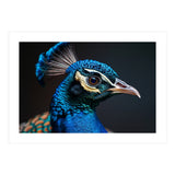 Close Up Peacock Head Blue Green Feather  (Print Only) thumbnail