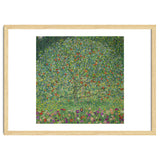 Apple Tree I, 1911 or 1912. Estates of Ferdinand and Adele Bloch-Bauer. thumbnail