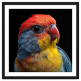Close Up Colorful Parrot Portrait Vivid Plumage thumbnail