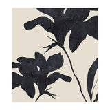 Shadowed Blooms (Print Only) thumbnail