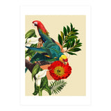 Birds Life (Print Only) thumbnail
