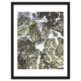 Mother Nature thumbnail