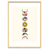 Floral Phases Of The Moon thumbnail