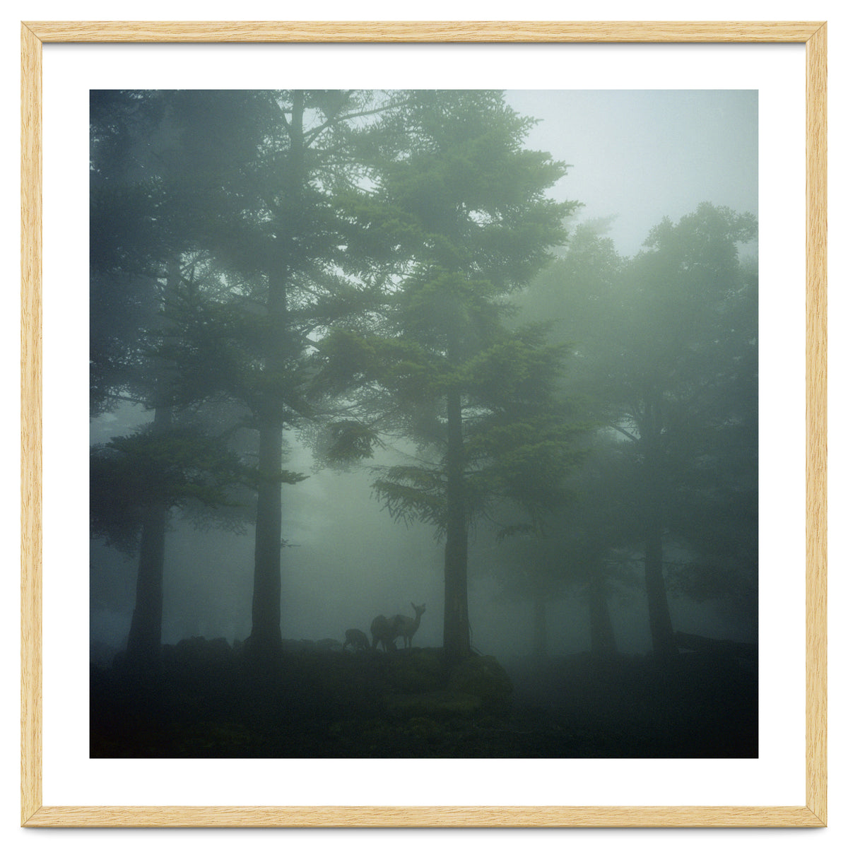 Silence of breath - 10