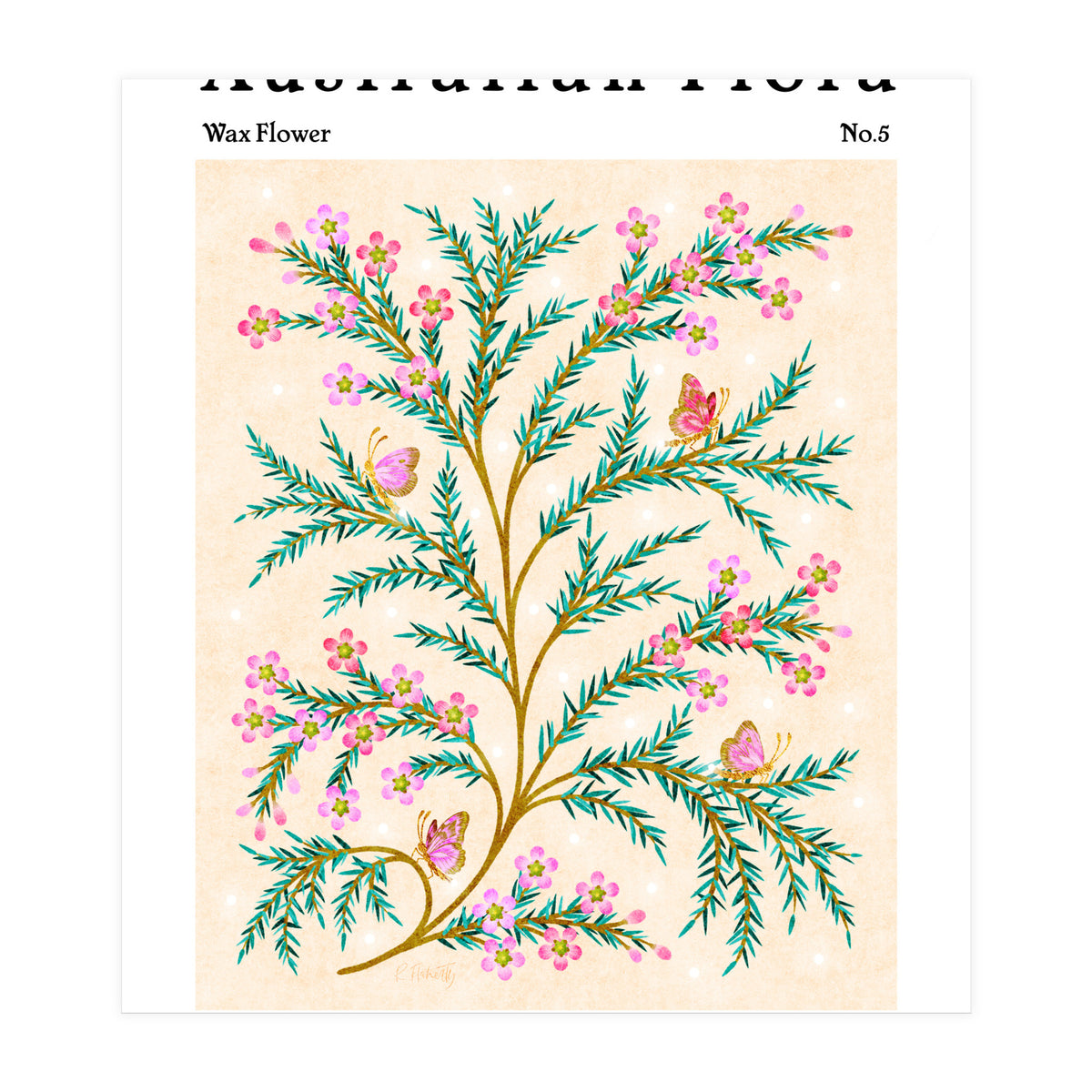 Australian Flora: Wax Flower (Print Only)