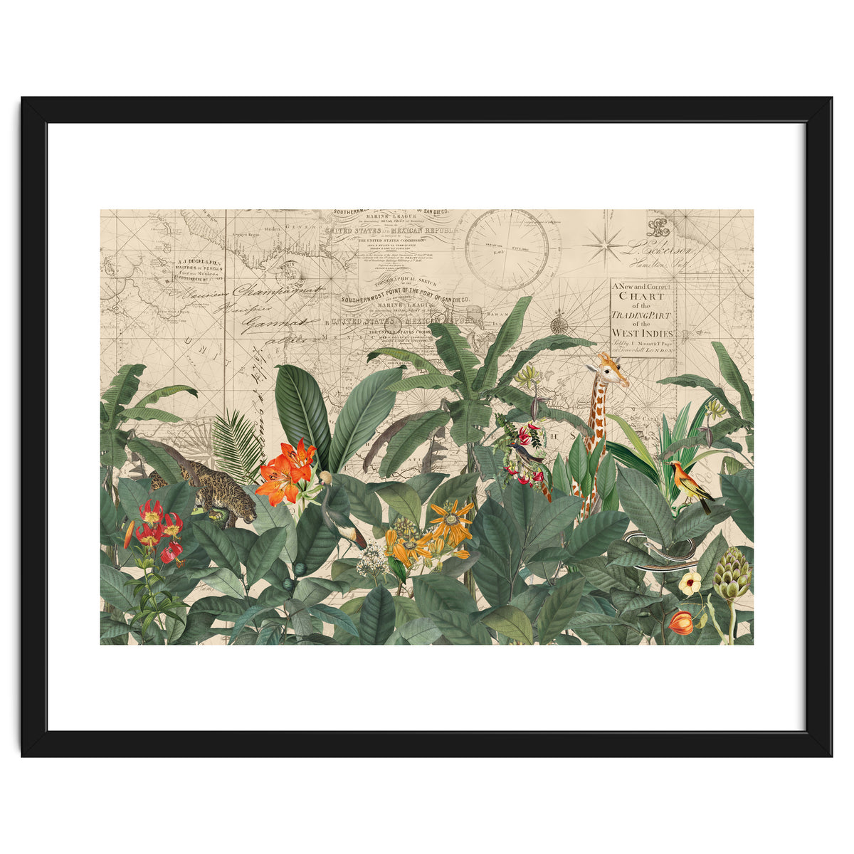 Explore The New World Wild Animals