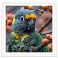 Yellow Headed Amazon Parrot Close Up Portrait