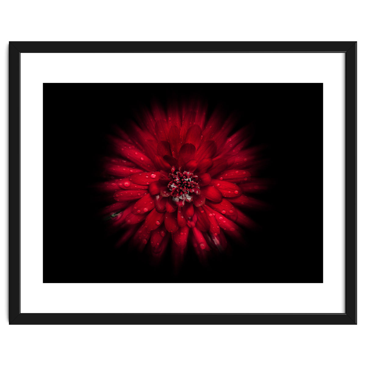 Backyard Flowers No 45 Color Flow Version