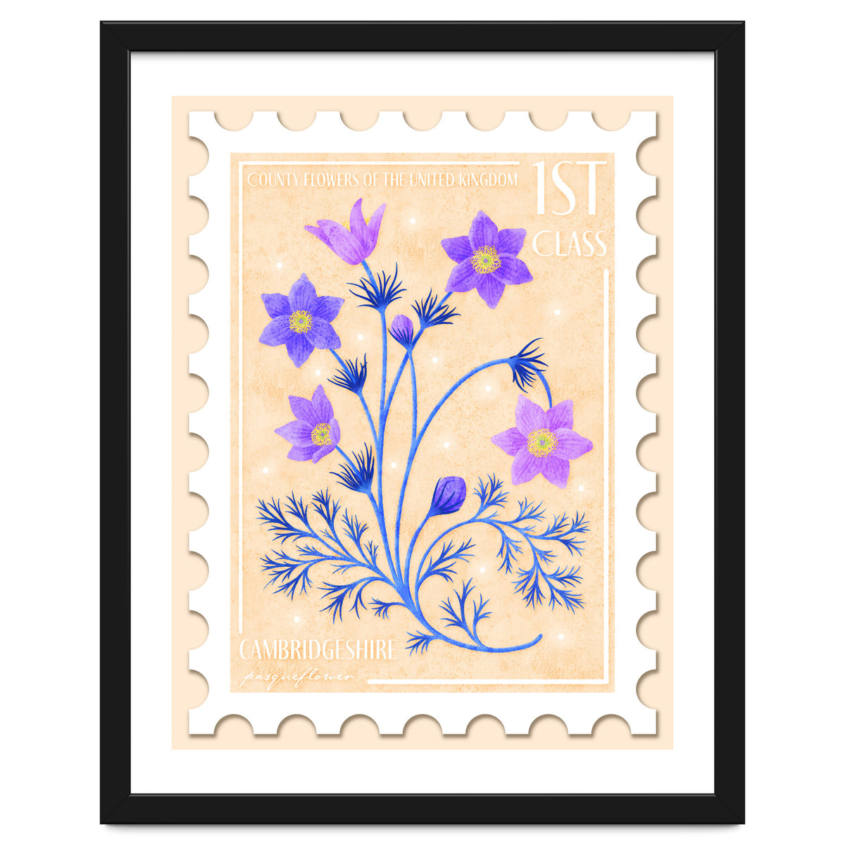 The Cambridgeshire Pasqueflower Postage Stamp