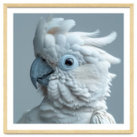 White Cockatoo Bird Portrait Close Up