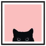 Black cat thumbnail