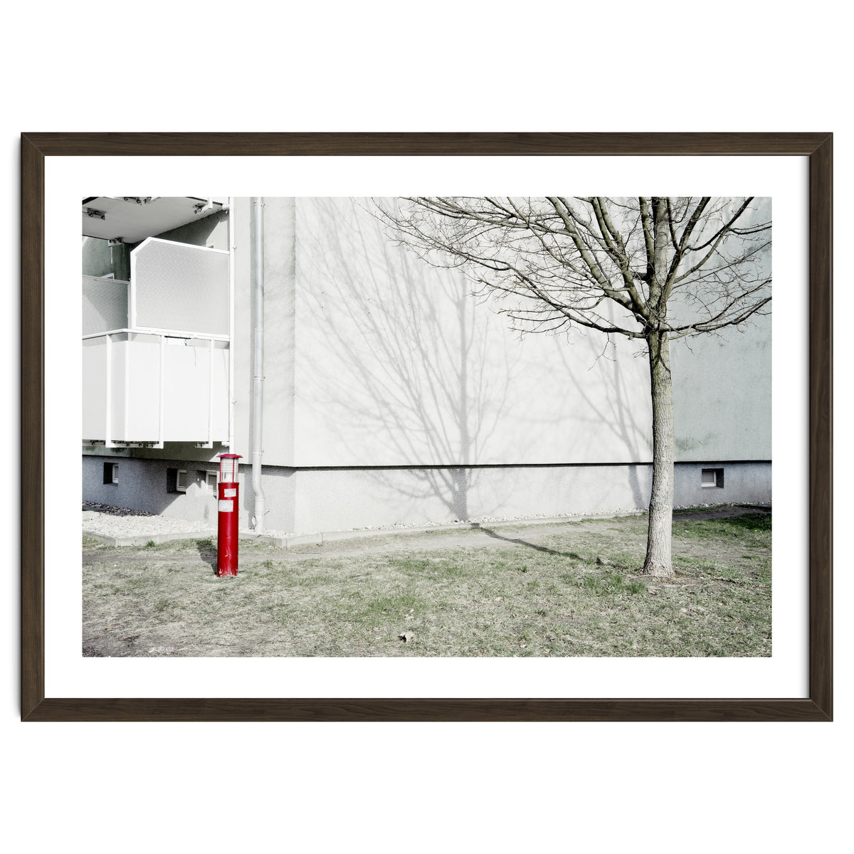 Red light pole and Tree shadow on the wall