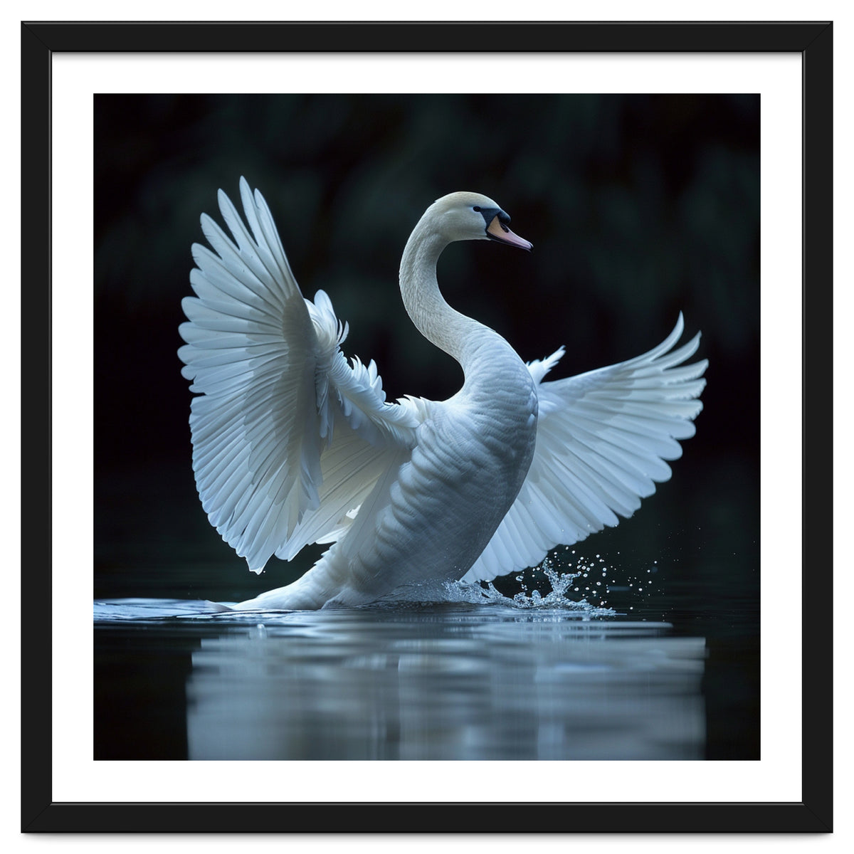 Majestic White Swan Spreading Wings On Water