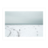 Seagulls in the winter snow beach (Print Only) thumbnail