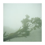 Silence of breath - 07 (Print Only) thumbnail