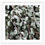Rain #society6 #decor #buyart thumbnail