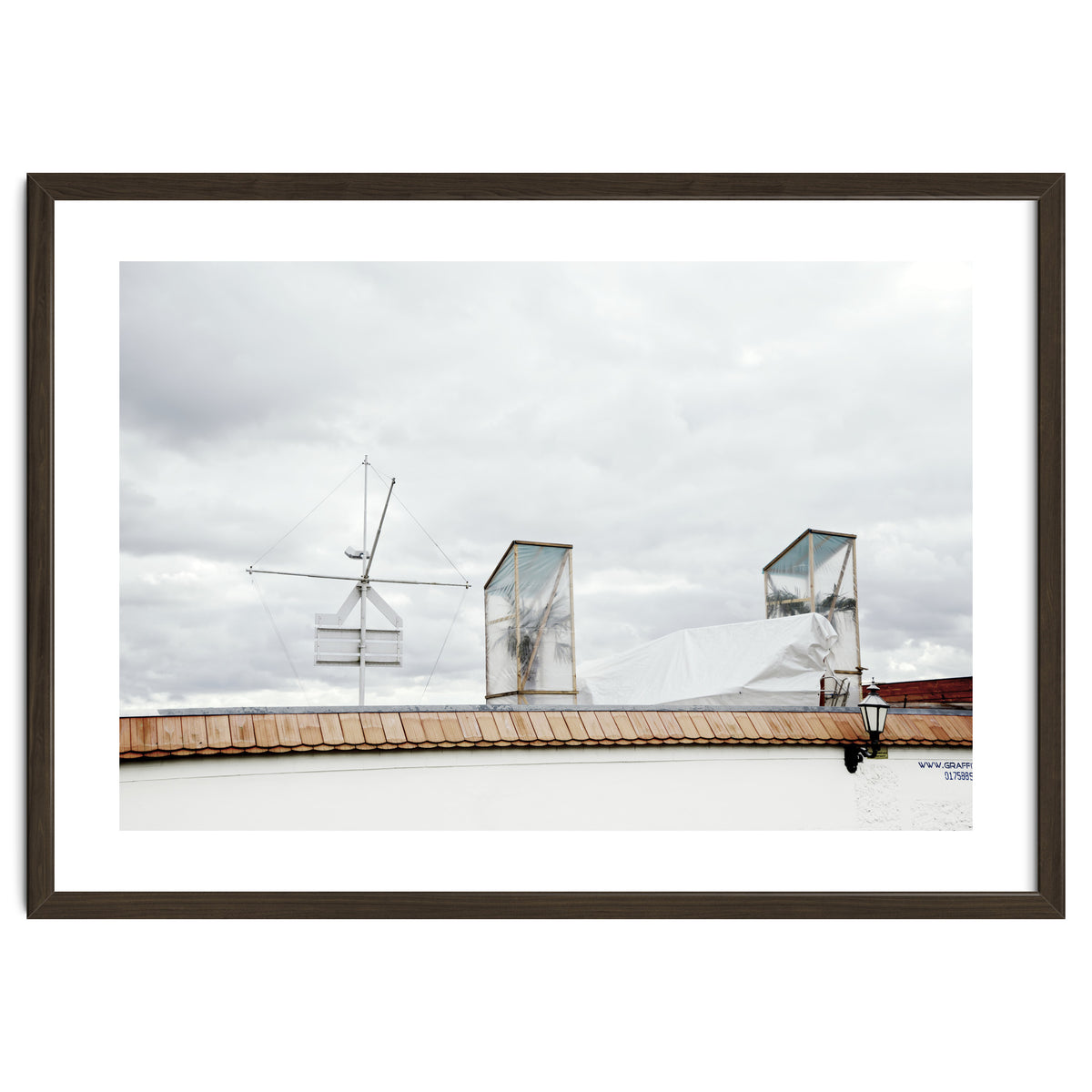 Palm tree waiting for summer