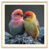 Pair Of Lovebirds Sitting On Rocks thumbnail