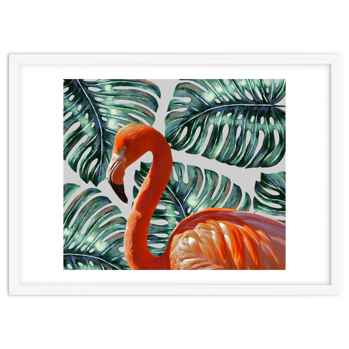 Flamingo Self Portrait