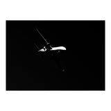 Dark Skies (Print Only) thumbnail