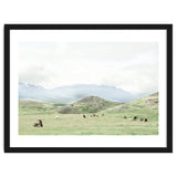 Relaxing horses on a sunny day calm field - Iceland thumbnail