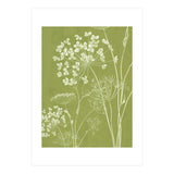 Wildflowers III (Print Only) thumbnail