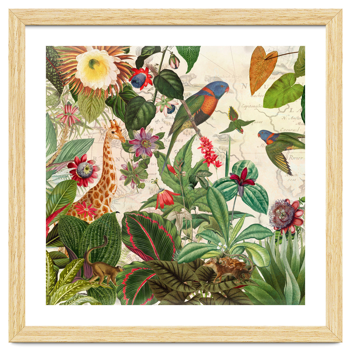 Exotic Lush Jungle And Wild Animals Landscape