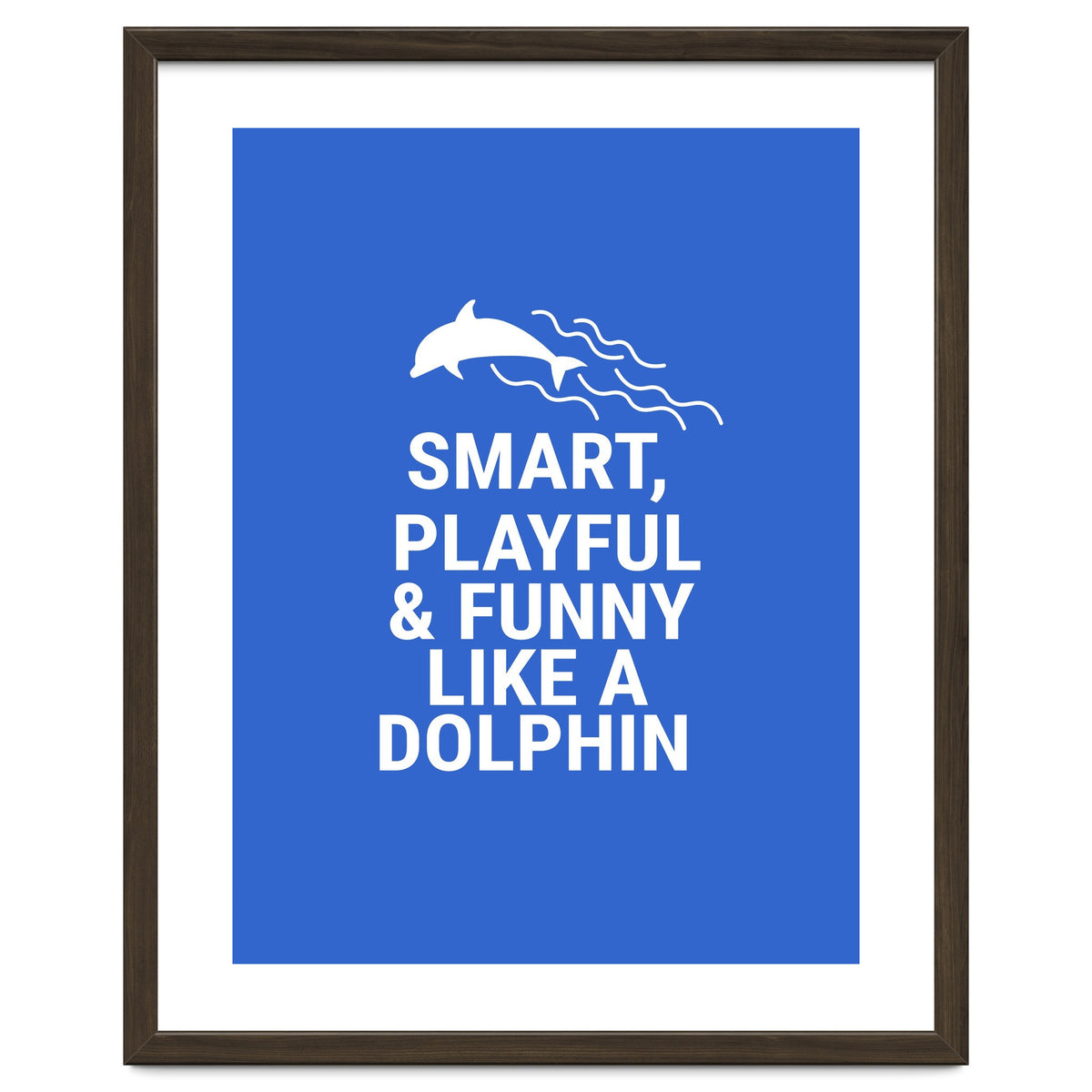 Smart, playful and funny like a dolphin