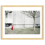 Red light pole and Tree shadow on the wall thumbnail