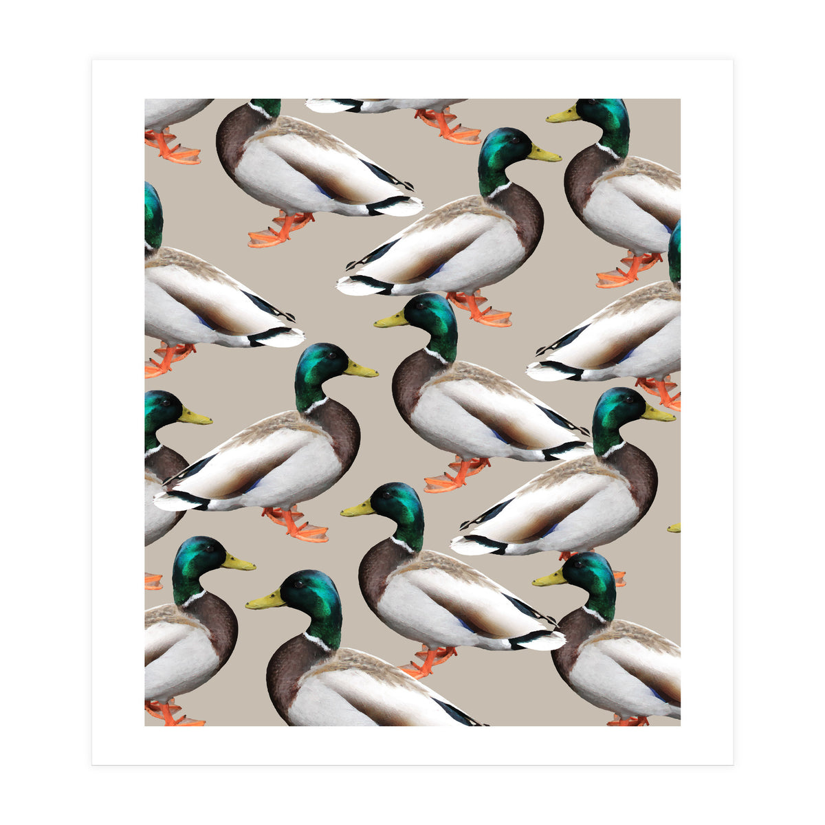 Mallards (Print Only)