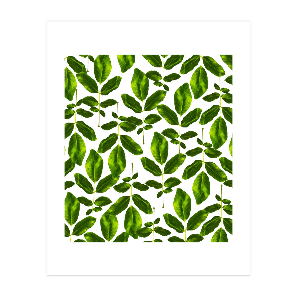 Natural Cure #society6 #decor #buyart (Print Only)