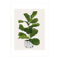 Fiddle Leaf Fig Tree Plant (Print Only)