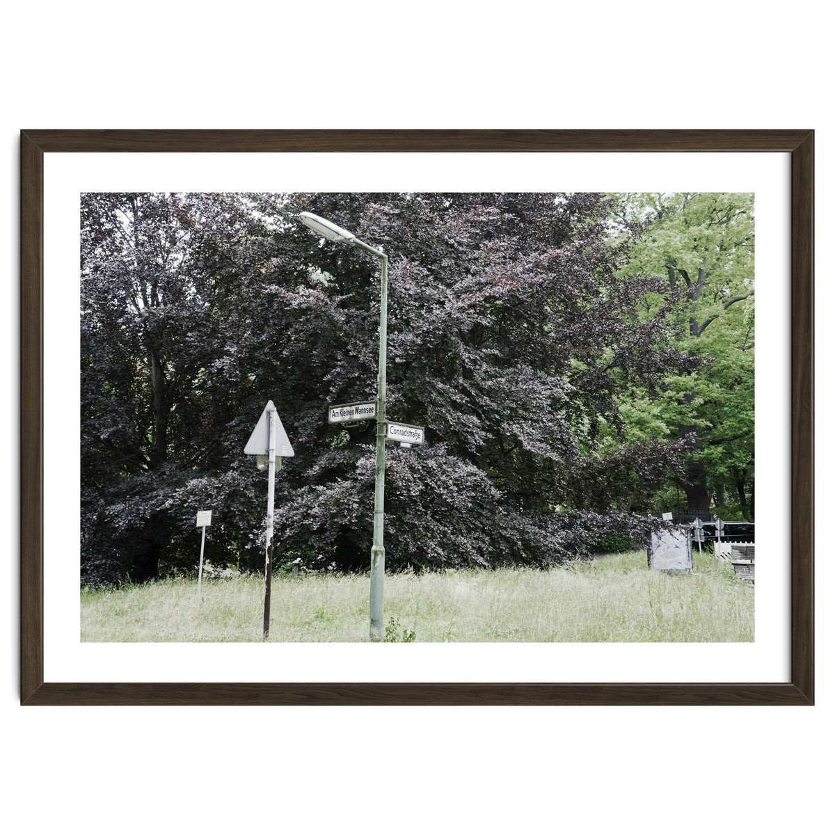 Signs at the corner of the street