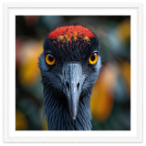 Close Up Of A Strikingly Beautiful Bird Face thumbnail