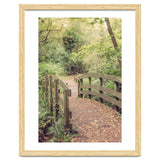 Path To The Bridge thumbnail