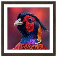 Close Up Pheasant Bird Head Detailed Feathers