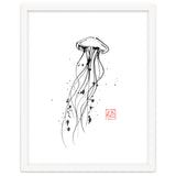 Meduse thumbnail