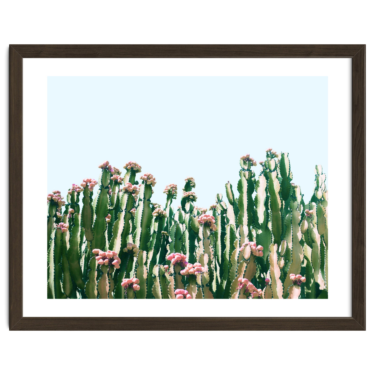 Blush Cactus #society6 #decor #buyart