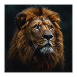 Majestic Lion Portrait In Gentle Rain (Print Only) thumbnail