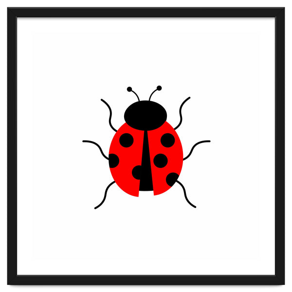 Lady Bug