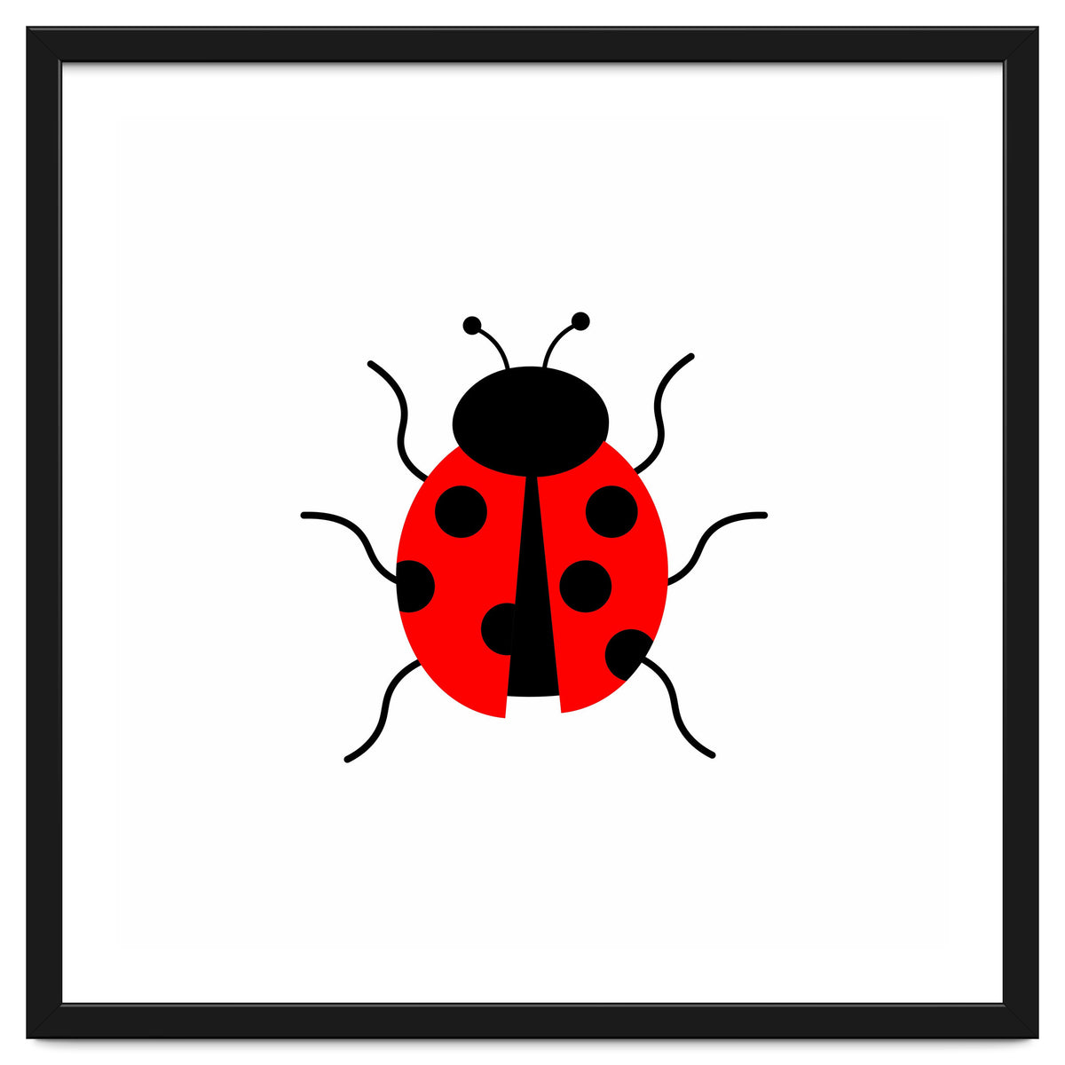 Lady Bug
