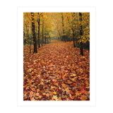 Ethereal Autumn Forest Path (Print Only) thumbnail